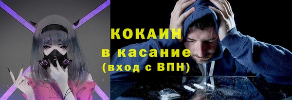 крисы Алексин