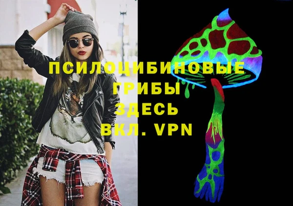 ALPHA-PVP Алексеевка