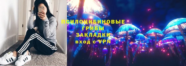 крисы Алексин