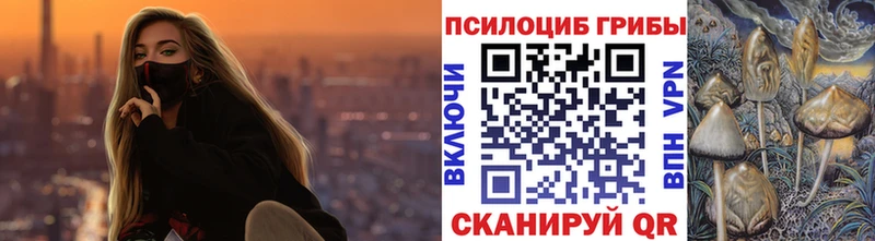 закладка  Удомля  Галлюциногенные грибы мицелий 